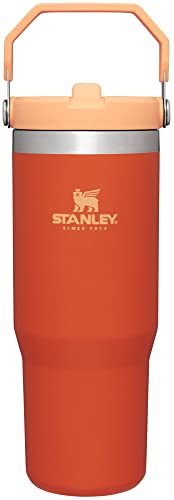 Stanley IceFlow Stainless Steel Tumbler with Straw - Vacuum Insulated Water Bottle for Home, Office or Car Reusable Cup with Straw Leak Resistant Flip Cold for 12 Hours or Iced for 2 Days (Tigerlily)