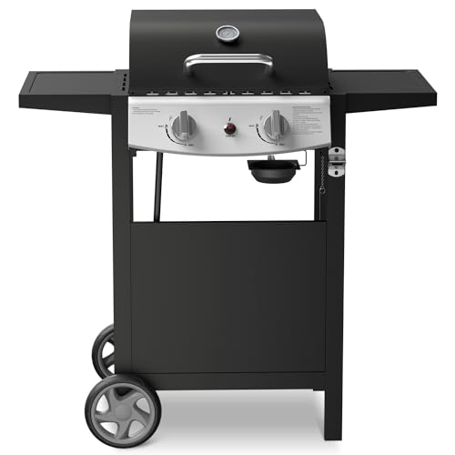 Propane Gas Grill 21000 BTU with 2-Burner,325 sq.in. Outdoor BBQ Grill for Barbecue Cooking with Top Cover Lid,Wheels,Side Storage Shelves,Barbeque Stove for Patio Garden Camping,Black