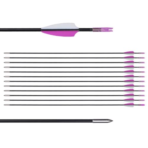 LWANO 31' Training Arrows-Archery Practice Target Arrows for Kids Youth or Beginners with Durable Shaft on Recurve Bow Compound Bow and Longbow (12pas Arrows, Purple)