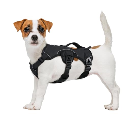 rabbitgoo Escape Proof Dog Harness, Soft Padded Full Body Pet Harness, Reflective Adjustable No Pull Vest with Lift Handle and Leash Clip for Large Dogs Walking Hiking Training, S, Black