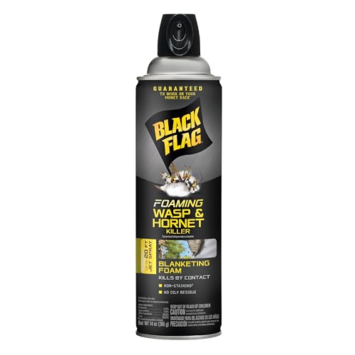 Black Flag Foaming Wasp & Hornet Killer, Kills Wasps and Hornets Nests By Contact For Insects, 14 Ounce (Aerosol Spray)