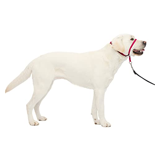 PetSafe Gentle Leader No-Pull Dog Headcollar - The Ultimate Solution to Pulling - Redirects Your Dog's Pulling For Easier Walks - Helps You Regain Control - Large, Raspberry Pink