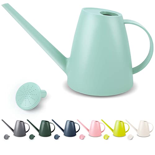 Watering Can for Indoor Plants, Small Watering Cans for House Plant Garden Flower, Long Spout Water Can for Outdoor Watering Plants 1.8L 1/2 Gallon