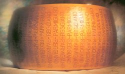 Italian Parmigiano Reggiano