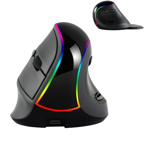 YOCUNKER RGB Ergonomic Mouse with Removable Palm Rest, Thumb Buttons, Rechargeable Battery, 800, 1200, 1800, 3200 Adjustable DPI, Compatible with MacBook/PC/Laptop/Desktop/Windows/Mac OS