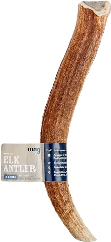 Amazon Brand - Wag Elk Antler - Whole - X-Large 9.5-10.5 inches (Best for Dogs over 45 lbs)