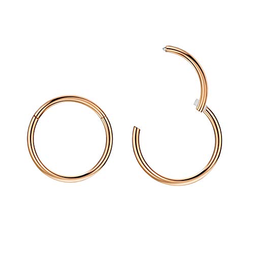 FANSING Rose Gold Nose Rings 20g 9mm Nose Hoop 20 Gauge Surgical Steel Piercing Hoop for Cartilage Helix Lip Septum Jewelry Women Men 2pcs