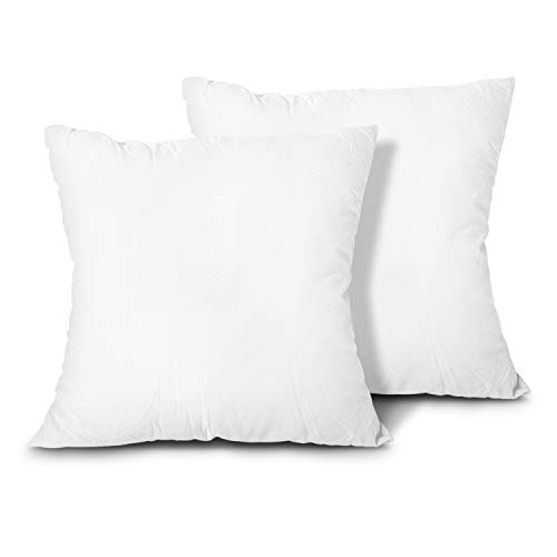 EDOW Throw Pillow Inserts, Set of 2 Lightweight Down Alternative Polyester Pillow, Couch Cushion, Sham Stuffer, Machine Washable. (White, 18x18)