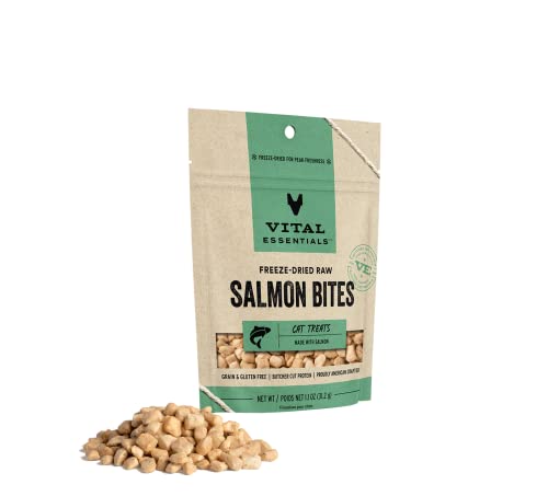 Vital Essentials Freeze Dried Raw Cat Treats, Salmon Bites, 1.1 oz