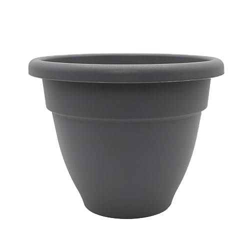 The HC Companies 8 Inch Caribbean Planter - Lightweight Indoor Outdoor Plastic Plant Pot for Herbs and Flowers, Warm Gray