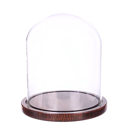 Moonlear Glass Cloche Bell Jar Display Dome with Wooden Base 5.9' x 7' (Coffee Wood Base)