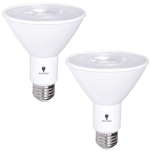 2 Pack PAR30 Outdoor LED Flood Light Bulb 12W 100 Watt Equivalent 900 Lumens Dimmable Waterproof E26 3000K Warm White LED Flood Light Bulbs for Security Spotlight Recessed Bulb