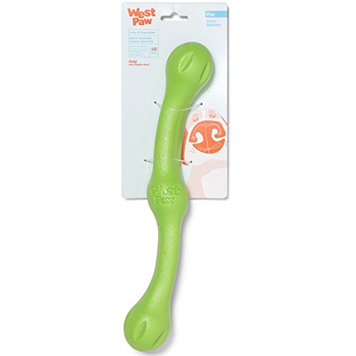 West Paw Zogoflex Echo Zwig Squeezy Dog Fetching Stick – Bouncy, Hollow, Squishy Interactive Toy for Puppies, Large Dogs – Floatable Stick, Lightweight Chewy Toy for Catch/Fetch – 13.75”, Jungle Green