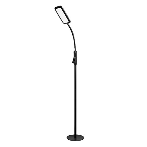 Tenergy LED Floor Lamp Desk Lamp, 2-in-1 Dimmable Task Lamp, 60-Min Timer, Flexible Gooseneck, Touch Control Floor Lamp for Reading/Crafting, 2000 Lumens