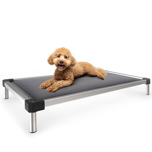 FXW Titanest Chew Proof Elevated Dog Bed for Chewers, Dog Cot for Outdoor & Indoor, Padded, 36inch, Grey