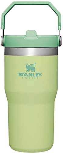 Stanley IceFlow Stainless Steel Tumbler - Vacuum Insulated Water Bottle for Home, Office or Car Reusable Cup with Straw Leak Resistant Flip Cold for 12 Hours or Iced for 2 Days, Citron, 20OZ