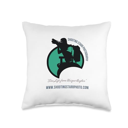 ME-CREATIVE AGENCY, LLC Shooting Starr Phototography Throw Pillow, 16x16, Multicolor