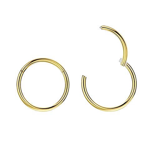 FANSING Gold Nose Rings 20g 6mm Nose Hoop 20 Gauge Piercing Hoop for Cartilage Helix Tragus Septum Jewelry 2pcs