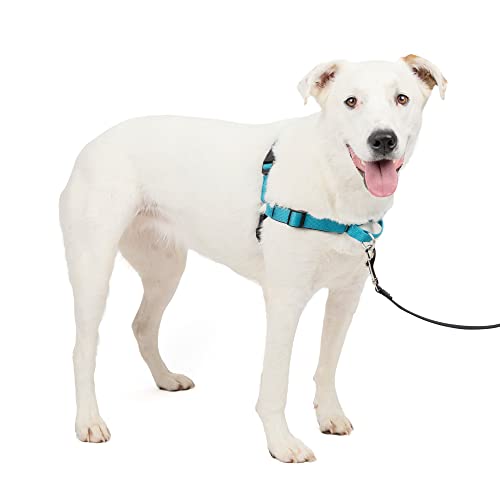PetSafe Deluxe Easy Walk Dog Harness, No Pull Harness, Stop Pulling, Great For Walking and Training, Comfortable Padding, For Medium Dogs- Ocean, Medium/Large