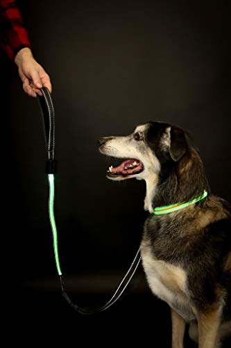 Emmarie & Friends LED Dog Collar & Solar Leash Premium Set for Small Medium Large Dog Breeds Lighted Safety Training for Nighttime Walking Rechargeable Reflective Collar Waterproof Lights Non Shock