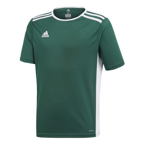 adidas Boys' Entrada 18 Jersey, Collegiate Green/White, Medium