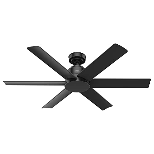 Hunter Fan Company Kennicott Outdoor Ceiling Fan, Plastic/Metal, Matte Black, 52 Inch