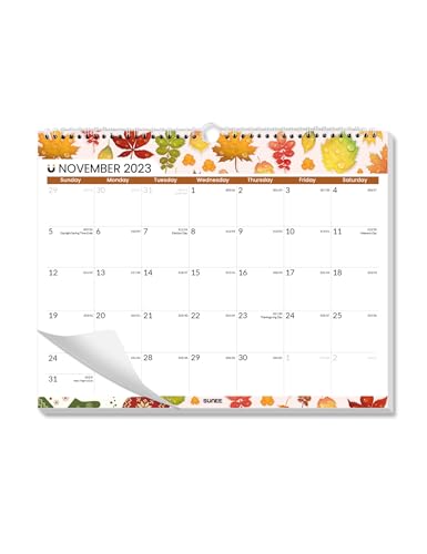 SUNEE Calendar 2024-21 Month (Seasonal), Now to 2025 June, 14.5 x 11.5 Wall & Desk Calendar for Hanging