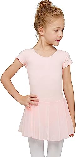 MdnMd Dance Ballet Leotard for Toddler Girls Classic Short Sleeve Tutu Skirt (Ballet Pink, Age 2-4 / 2t,3t)