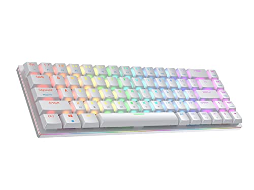 Ranked G65 Guardian 65% | Full Aluminum Frame | Ultra Slim Hot Swappable Mechanical Gaming Keyboard | 68 Keys Multi Color RGB LED Backlit for PC/Mac Gamer (White, Gateron Low Profile Brown)