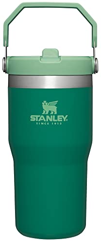Stanley IceFlow Stainless Steel Tumbler - Vacuum Insulated Water Bottle for Home, Office or Car Reusable Cup with Straw Leak Resistant Flip Cold for 12 Hours or Iced for 2 Days, Alpine, 20OZ