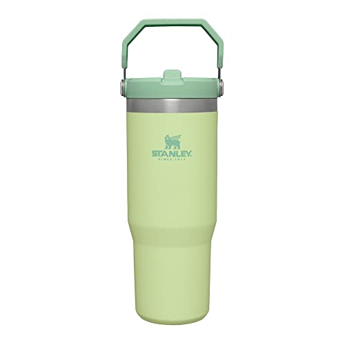 Stanley IceFlow Stainless Steel Tumbler - Vacuum Insulated Water Bottle for Home, Office or Car Reusable Cup with Straw Leak Resistant Flip Cold for 12 Hours or Iced for 2 Days, Citron, 30oz