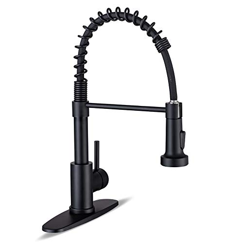 WEWE Kitchen Faucets with Pull Down Sprayer Commercial Industrial Stainless Steel Single Handle Single Hole Spring Farmhouse RV Sink Faucet, Matte Black