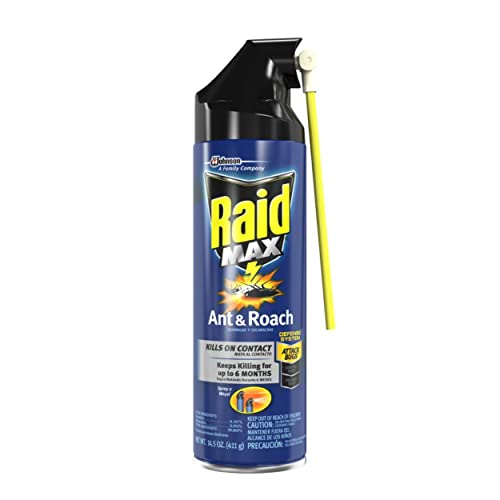 Raid Max Ant & Roach Aerosol Spray 14.50 oz (Pack of 6)