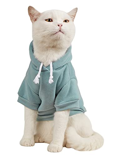 QWINEE Basic Dog Hoodie, Dog Warm Jacket, Cat Apparel, Dog Shirt, Dog Clothes for Puppy Kitten Small Medium Dogs Cats Cadet Blue M