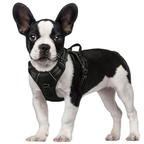 rabbitgoo Dog Harness, No-Pull Pet Harness with 2 Leash Clips, Adjustable Soft Padded Dog Vest, Reflective No-Choke Pet Oxford Vest with Easy Control Handle for Small Dogs, Black, S