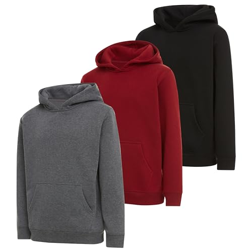 PURE CHAMP Boys 3 pack pullover hoodies Fleece long sleeve essentials sweatshirt for boys Athletic Kids Clothes Size 4-20 (Set4 Size 14/16)