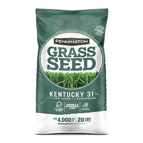 Pennington Kentucky 31 Tall Fescue Grass Seed 20 lb