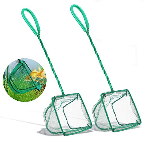 2 Pack Aquarium Fish Nets, DSSPORT 4 Inch Small Mesh Fish Catch Nets with Plastic Handle Green (Pine Green)