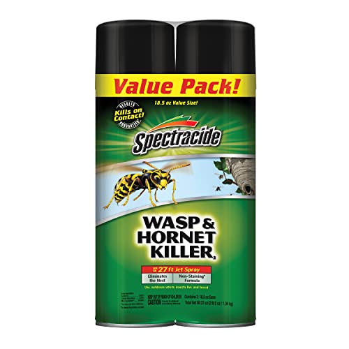 Spectracide Insects, Wasp & Hornet Killer, 18.5 Ounces, Twin Pack