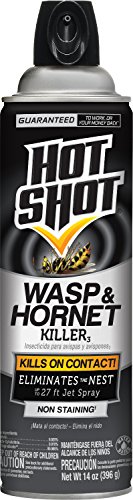 Hot Shot Wasp & Hornet Killer Spray, For Insects Eliminates The Nest, Sprays Up Tp 27 Feet, 14 fl Ounce