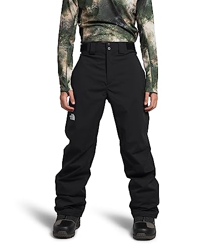 THE NORTH FACE Men's Freedom Stretch Pant, TNF Black, Large Regular