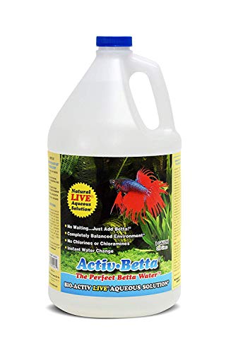 Activ Beta by Natures Ocean, Instant Water for Betta and All Fresh Water Fish- BIO ACTIV Live AQUEOUS Solution- 1 Gallon