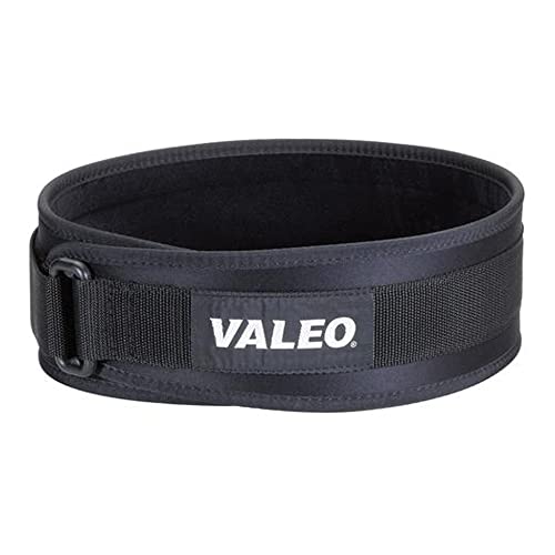 Valeo VA4685LG Performance Low-Profile Back Support, Large, 37-43' Waist Size, 6' Wide, Nylon