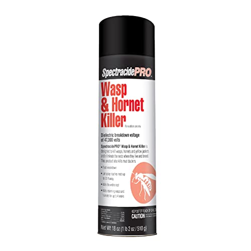 Spectracide PRO Wasp & Hornet Killer (Aerosol)(18 oz), Pack of 1, White Can