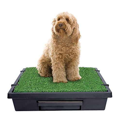 PetSafe Pet Loo Portable Dog Potty - Pet Toilet Alternative for Puppy Pads - Medium - Perfect for House Training - Easy-to-Clean Grass Mat