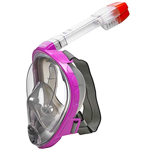 HEAD Sea Vu Dry Full Face Snorkeling Mask, X Small/Small, Pink