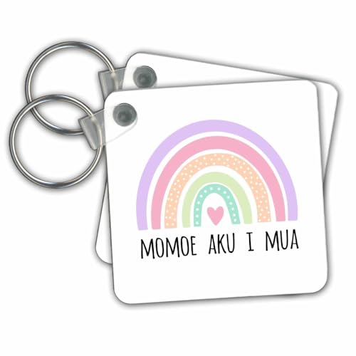 3dRose Key Chains Momoe aku I mua Move ahead with determination in Hawaiian Boho Rainbow (kc-366035-1)