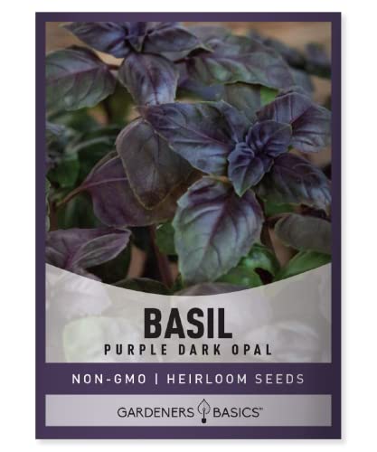 Gardeners Basics, Basil Seeds for Planting Herbs Purple - (Purple Dark Opal) Heirloom Non-GMO Herb Plant Seeds for Home Herb Garden Indoors, Outdoors, and Hydroponics