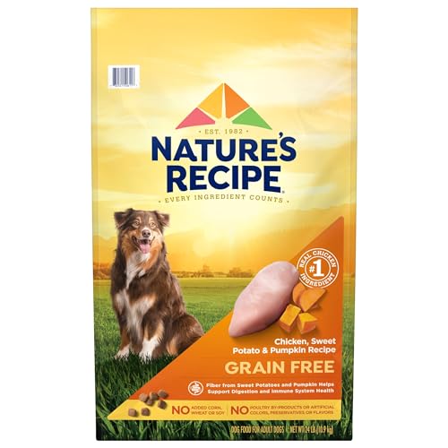 Nature’s Recipe Large Breed Grain Free Chicken, Sweet Potato & Pumpkin Recipe, Dry Dog Food, 24 Pounds (Packaging May Vary)