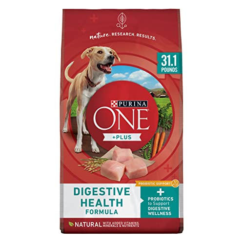 Purina One Plus Digestive Health Formula Dry Dog Food Natural with Added Vitamins, Minerals and Nutrients - 31.1 lb. Bag